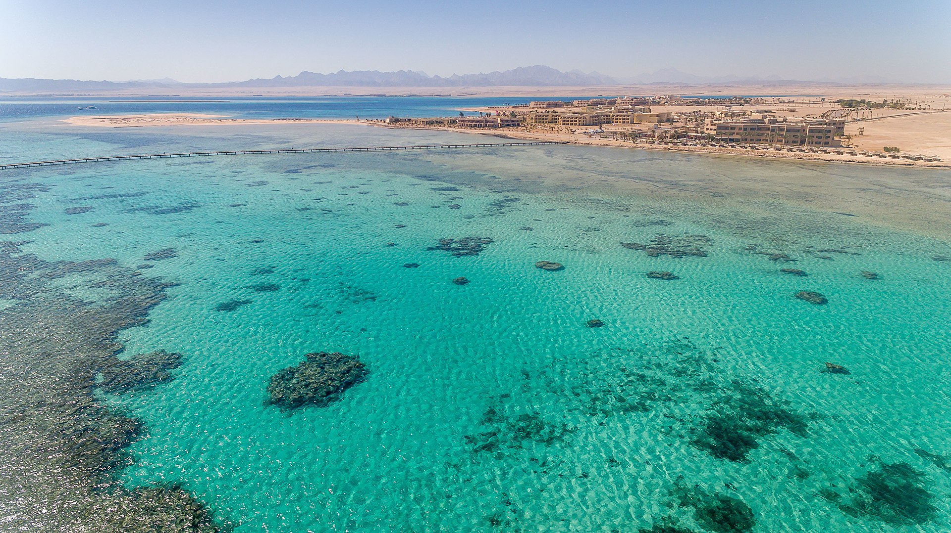 SomaBay